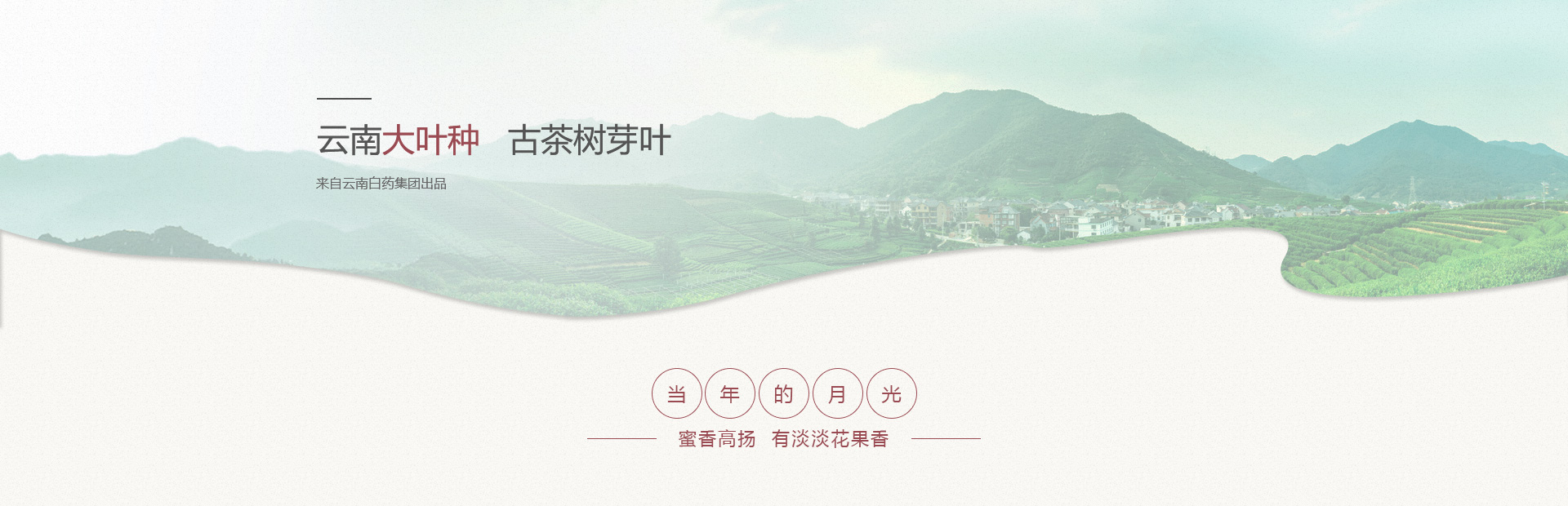 �ŵ�88��(�й���)���޹�˾����