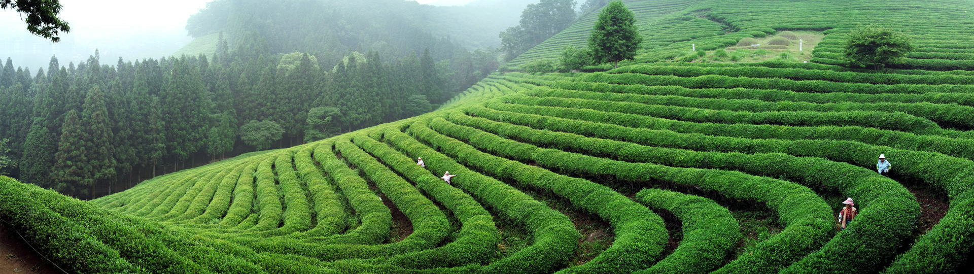 �ŵ�88��(�й���)���޹�˾����