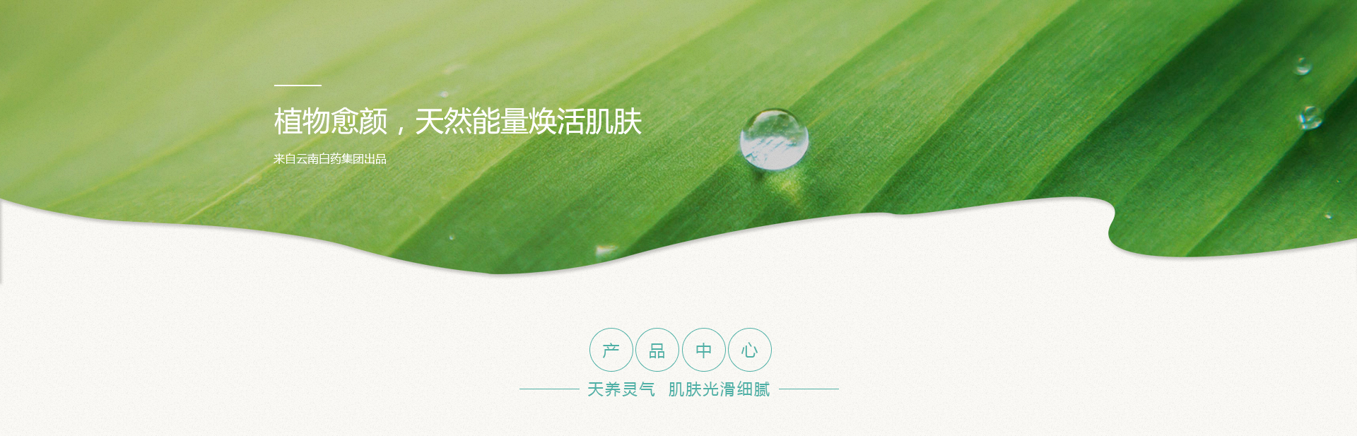 �ŵ�88��(�й���)���޹�˾����