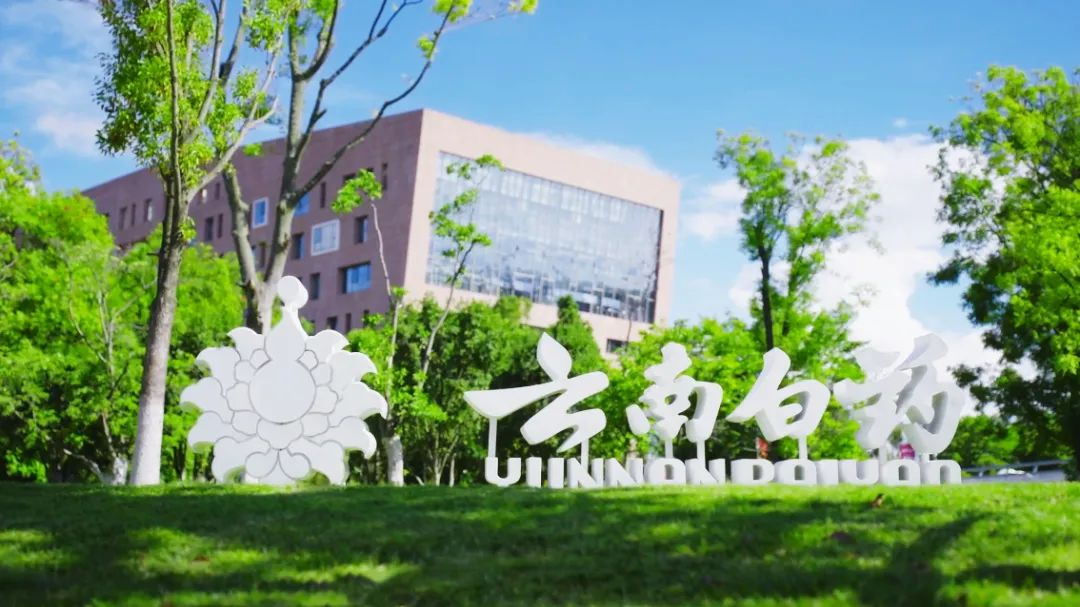 �ŵ�88��(�й���)���޹�˾����