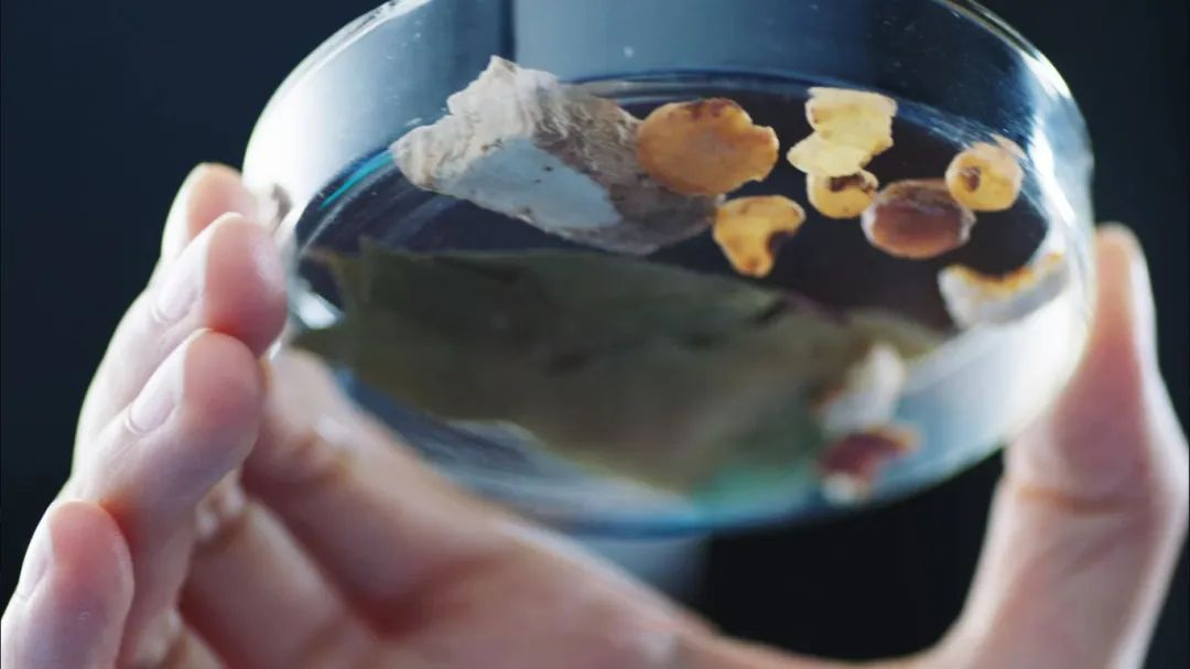 �ŵ�88��(�й���)���޹�˾����