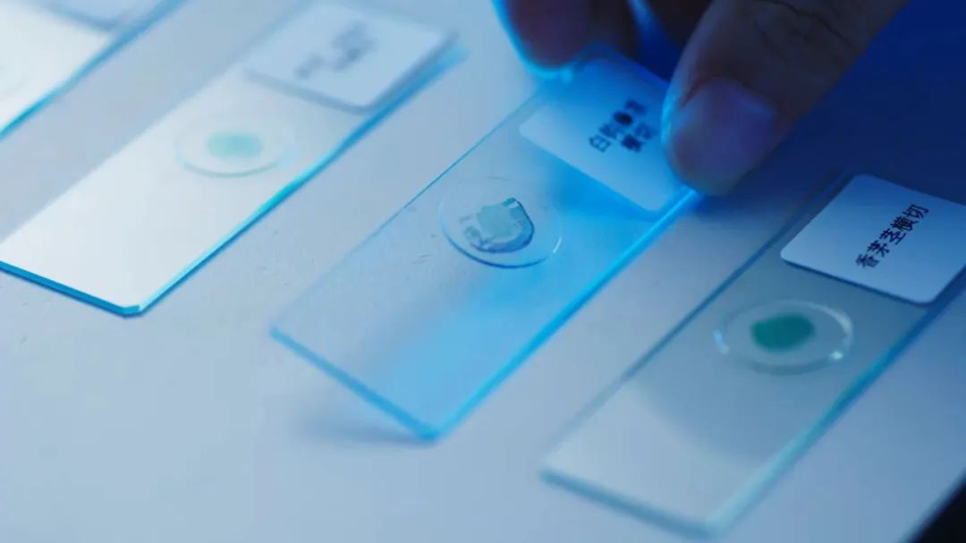 �ŵ�88��(�й���)���޹�˾����