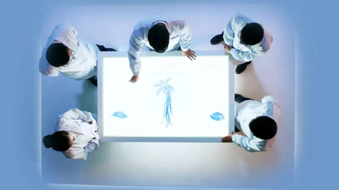 �ŵ�88��(�й���)���޹�˾����