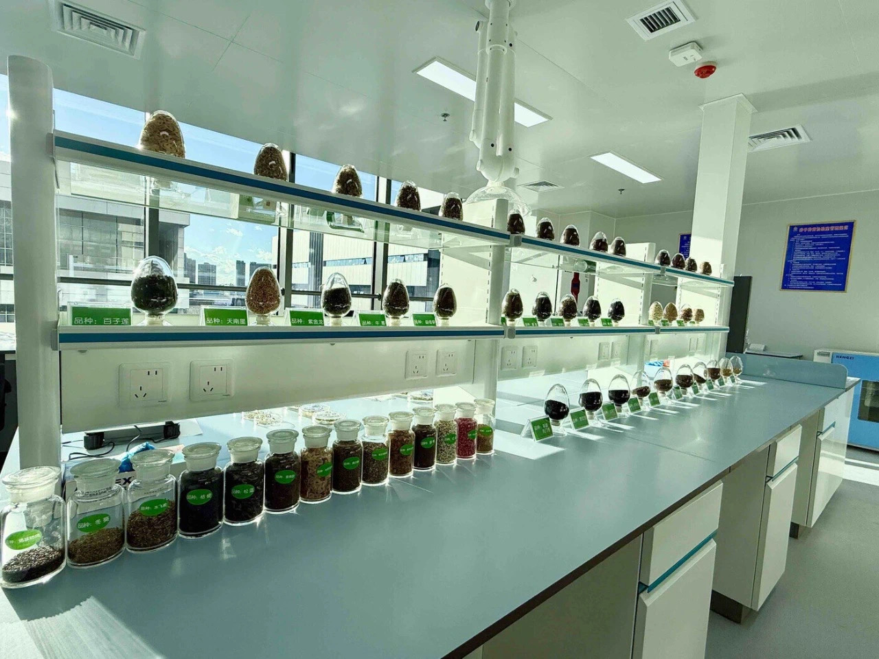 �ŵ�88��(�й���)���޹�˾����