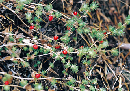 �ŵ�88��(�й���)���޹�˾����