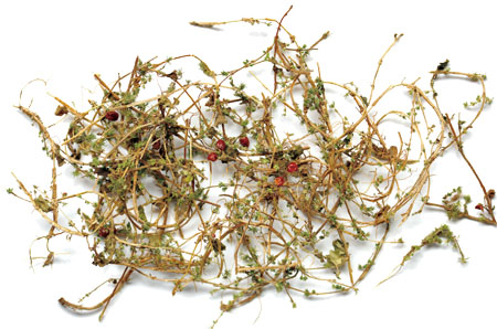 �ŵ�88��(�й���)���޹�˾����